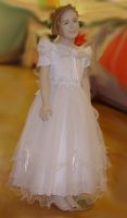 A Cute Flower Girl Dress in Our Selections